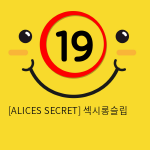 [ALICES SECRET] 섹시롱슬립 & 팬티 세트 NY14020020 (A39)