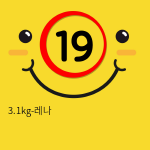 3.1kg-레나