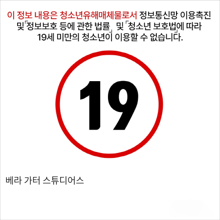 베라 섹시 가터벨트 스튜어디스 망사 란제리 티팬티 스타킹 그레이